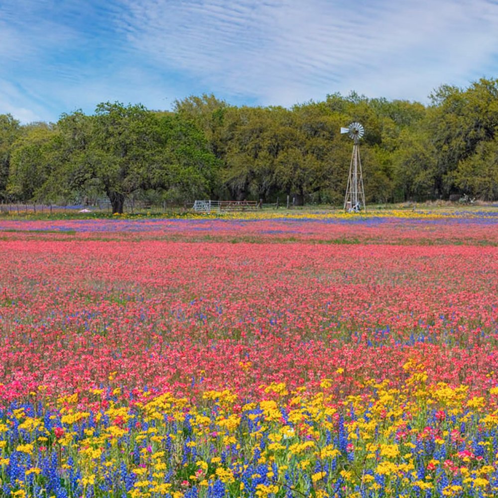 Meet your Posher, Jen